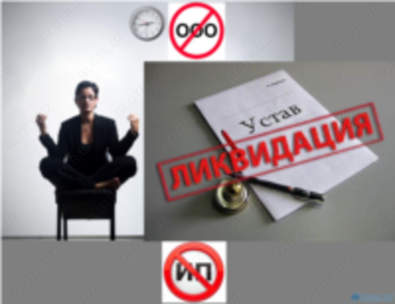   Ликвидация действующих и недействующих субъектов предпринимательтв всех организационно-правовых форм собственности