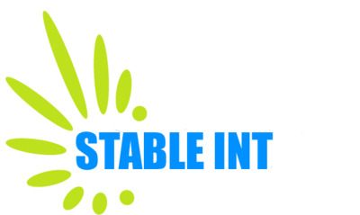 Stable Int