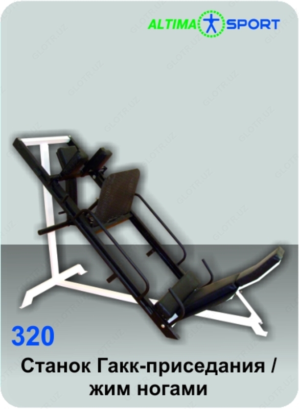 Hack Squat / Leg Press