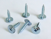 Cаморезы оцинкованные семечки