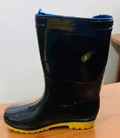 Сапоги резиновые