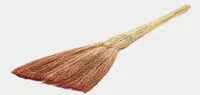  Uy sharoitida yetishtiriladigan supurgi joxori  taxminan 90-100 sm  400-450 g. - 