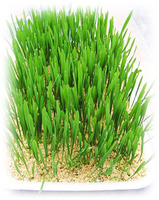 Добавка в почву - вермикулит вспученный - от {0} сум