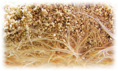 45 000 сум / мешок Добавка в почву - вермикулит вспученный