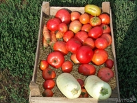 Вермикулит в овоще хранение.