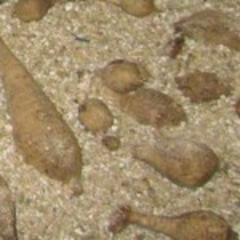 Вермикулит в овоще хранение. - от {0} сум