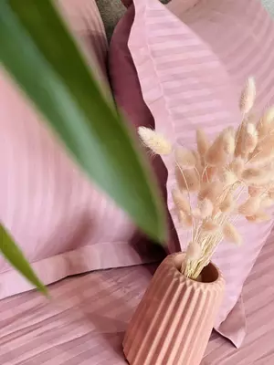 Ikki kishilik ko'rpa-to'shak to'plami Stripe Satin "PINK" (Pushti jozibasi)