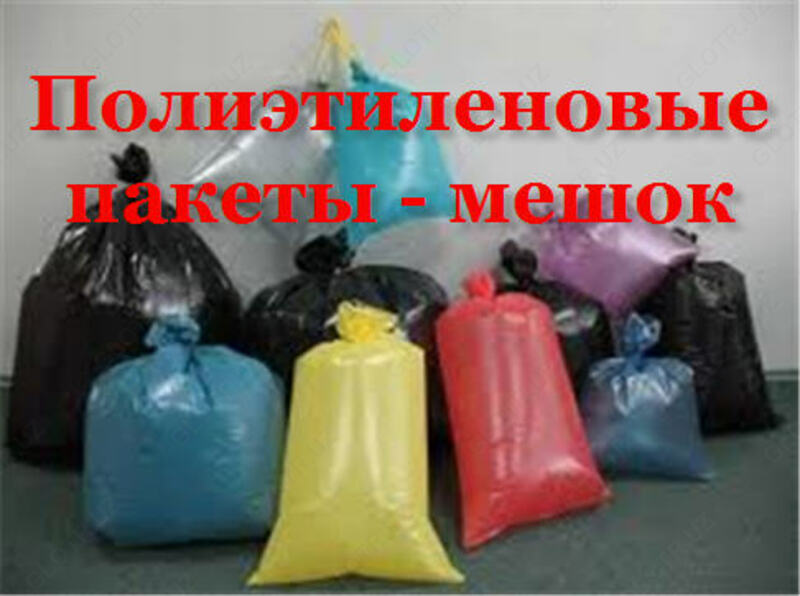Пакеты рейтер с прорубной ручкой с нанесением Вашего логотипа. Только в розницу