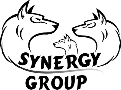 SYNERGY GROUP ООО