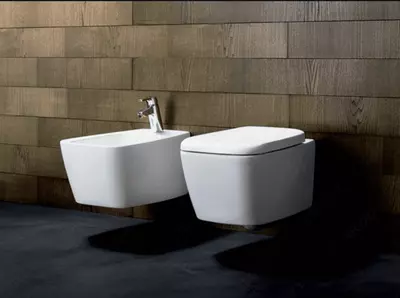 подвесной унитаз Ventuno