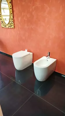 Туалетные устройства Унитаз