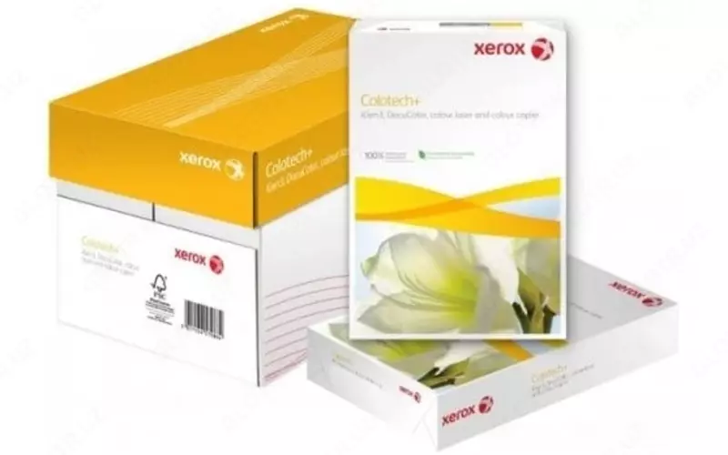 Бумага ксероксная Colotech Plus A4 100 гр (500 листов) - по запросу