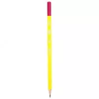 Карандаш 2B 53106/30 туба Deli Только в розницу