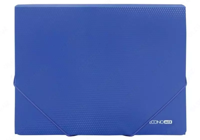 31601-02 A4 elastik tasmalardagi plastik Papka