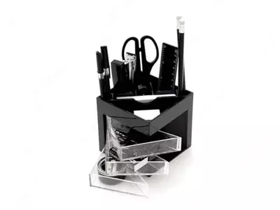 РMP 1001S tashkilotchisi