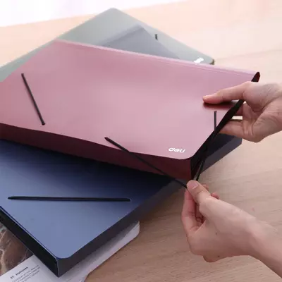 Папка на резинке Deli Start E5551 12 отделений A4 полипропилен 0.75мм Только в розницу