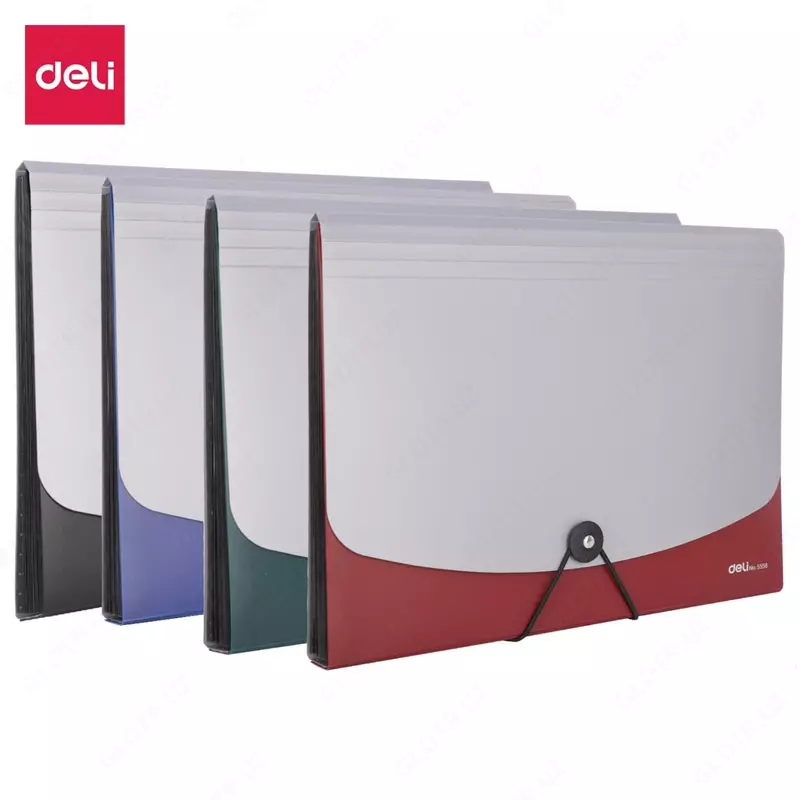 Deli Start Plus e5558 elastik tasma papkasi 12 ta bo'linma A4 polipropilen 0