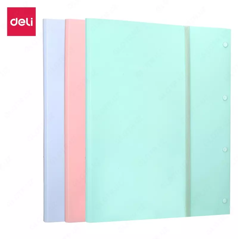 Папка с 40 прозр.вклад. Deli EB02912 A3 ассорти