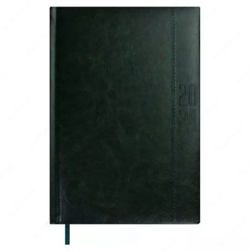 Ежедневник датированный 2024 ESCALADA