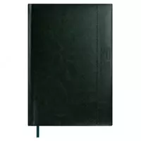 Ежедневник датированный 2024 ESCALADA