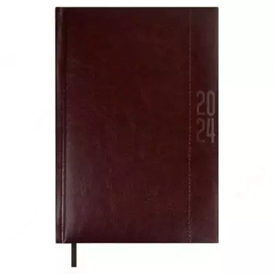 Ежедневник датированный 2024 ESCALADA