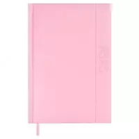 Ежедневник датированный 2024 ESCALADA