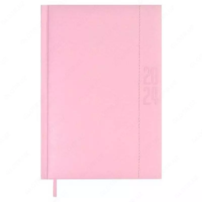 Ежедневник датированный 2024 ESCALADA