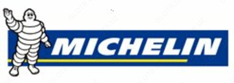 Воздушный компрессор MICHELIN - MCX50U F3001 BLU - Однофазный (220V)