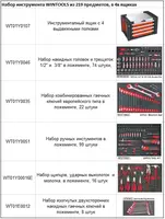 Набор инструментов 219 предметов WinMax
