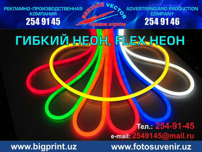 Изделия, вывески из холодного (гибкого) неона