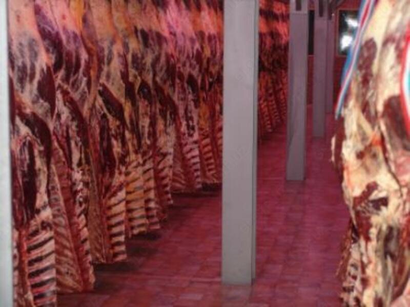 Камера шоковой (быстрой) заморозки