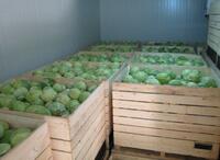   Камера шоковой (быстрой) заморозки