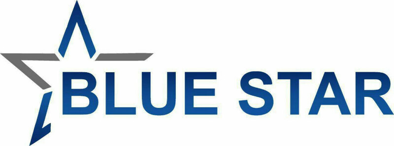 OOO BLUE STAR GROUP
