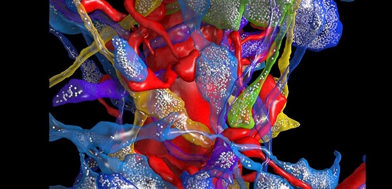 Американские ученые изобретут ИИ, который превзойдет человека.