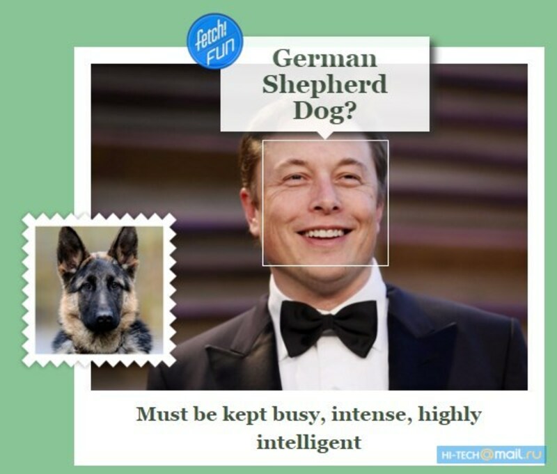 Новый сервис Microsoft «взорвал» интернет