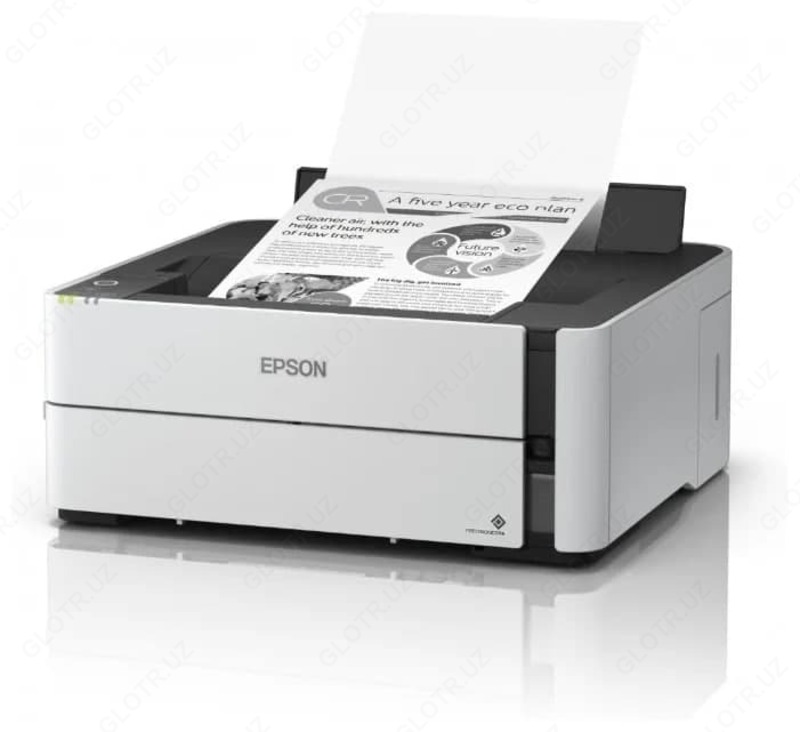 Epson M1170 printeri