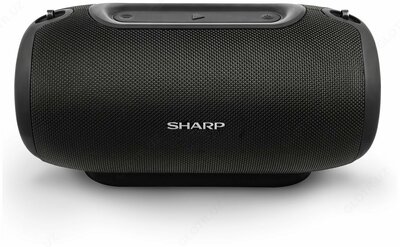 Портативная акустика SHARP GX-BT480