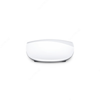 Мышка APPLE Magic Mouse 2 Silver Только в розницу