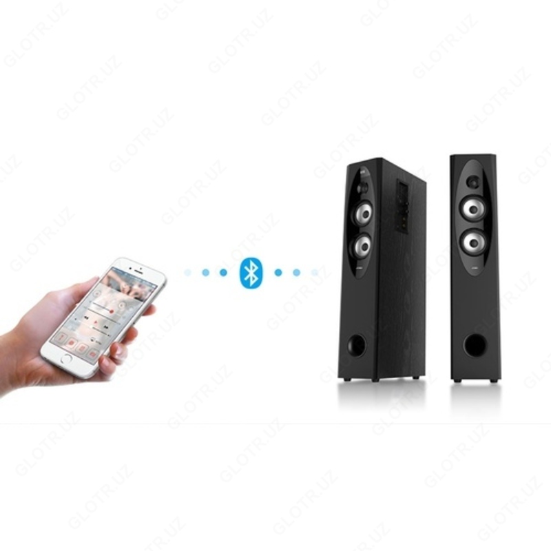 Акустическая система 2.0 F&D T-60X (black) 110W