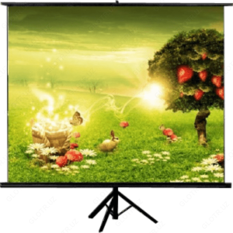 Экран проекционный MAGNA TRM-AV-96