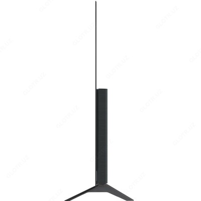Televizor LG OLED55A1RLA
