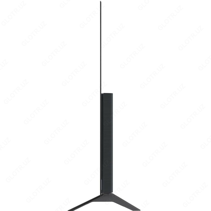 Televizor LG OLED55A1RLA