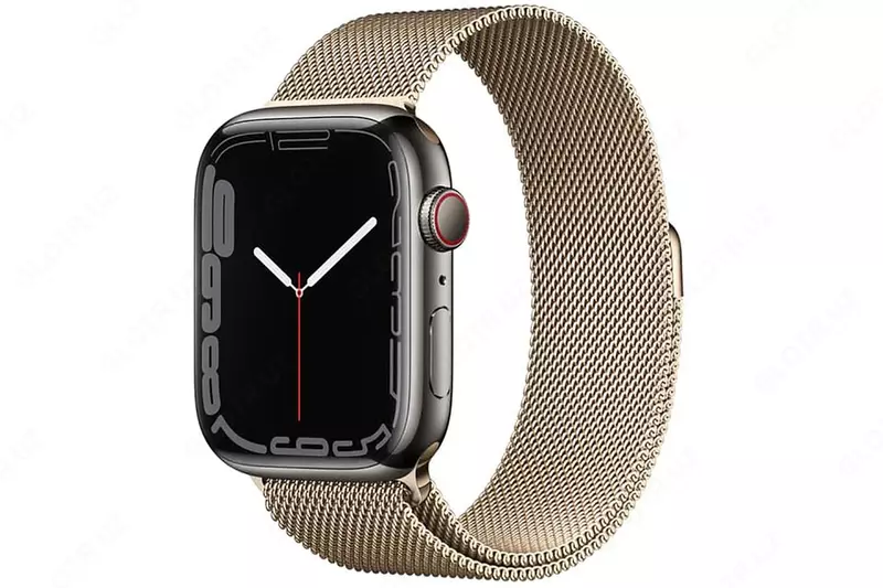 Смарт часы Apple Watch Series 7 GPS + Cellular, 45mm Stainless Steel Case with Milanese Loop