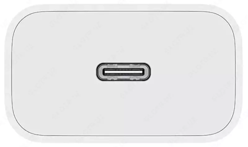 Сетевое зарядное устройство Xiaomi Mi 20W Charger Type-C