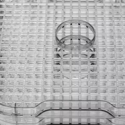 VITEK VT-5054 BK sabzavot quritgichi