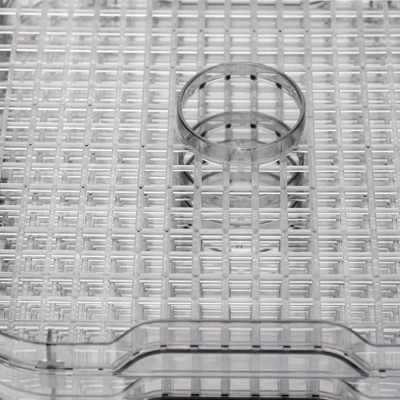 VITEK VT-5054 BK sabzavot quritgichi