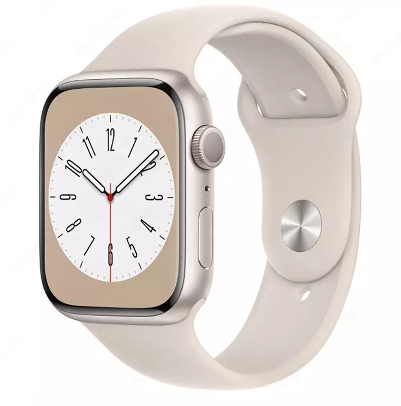 Смарт часы Apple Watch Series 8 45 mm