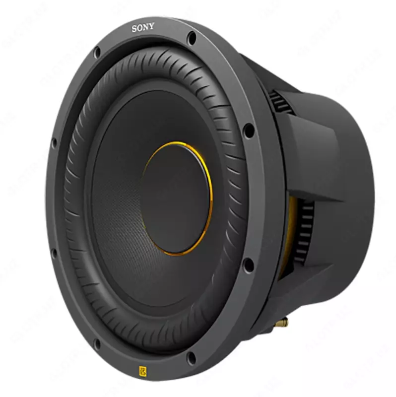 Avtomobil karnay SONY XS-W124ES