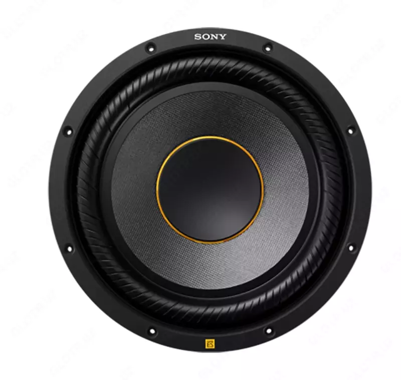 Avtomobil karnay SONY XS-W124ES