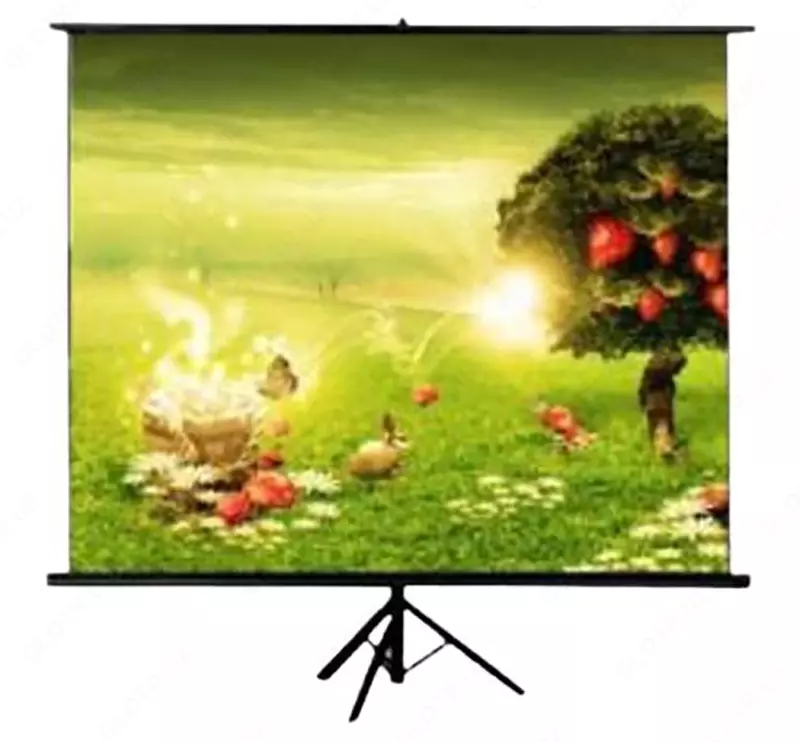 Экран проекционный TRM-NTSC-100D